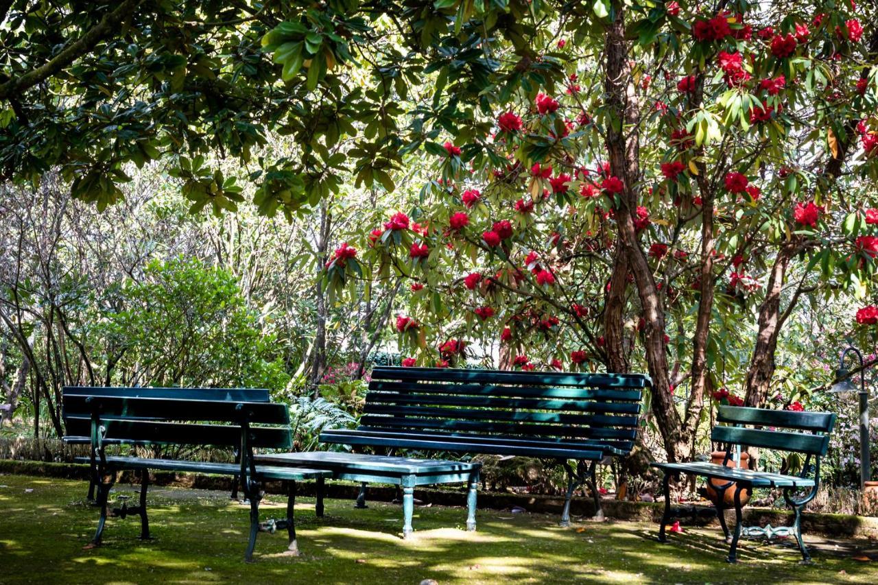 Quinta De Mouraes Casa Dos Rododendros Pension Lever Buitenkant foto