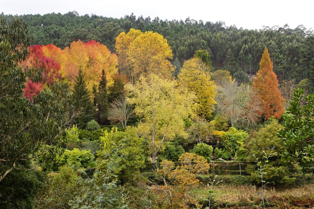 Quinta De Mouraes Casa Dos Rododendros Pension Lever Buitenkant foto