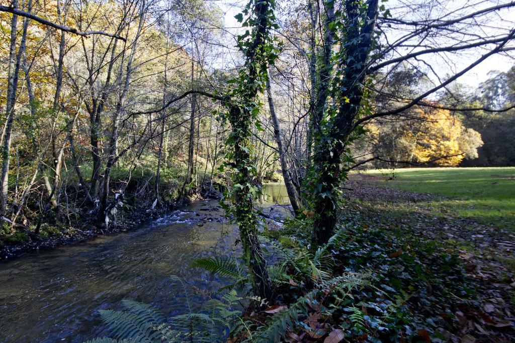 Quinta De Mouraes Casa Dos Rododendros Pension Lever Buitenkant foto