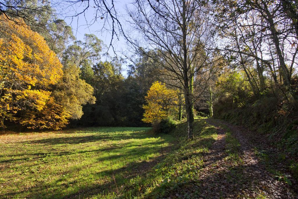Quinta De Mouraes Casa Dos Rododendros Pension Lever Buitenkant foto