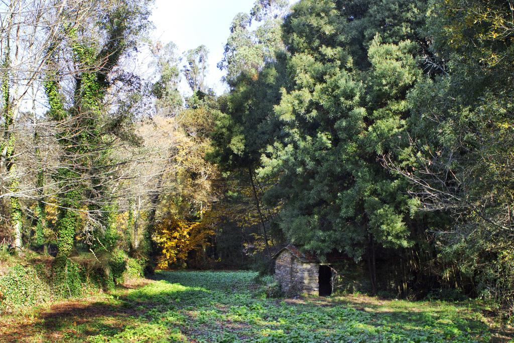 Quinta De Mouraes Casa Dos Rododendros Pension Lever Buitenkant foto