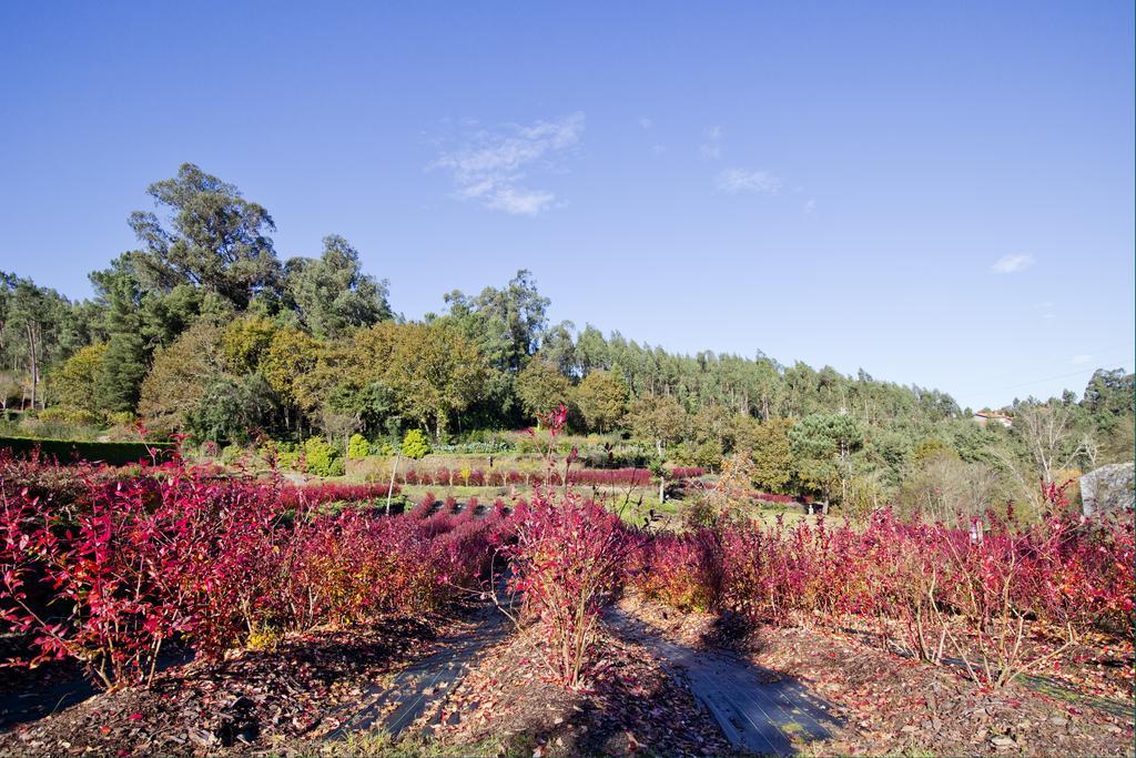 Quinta De Mouraes Casa Dos Rododendros Pension Lever Buitenkant foto