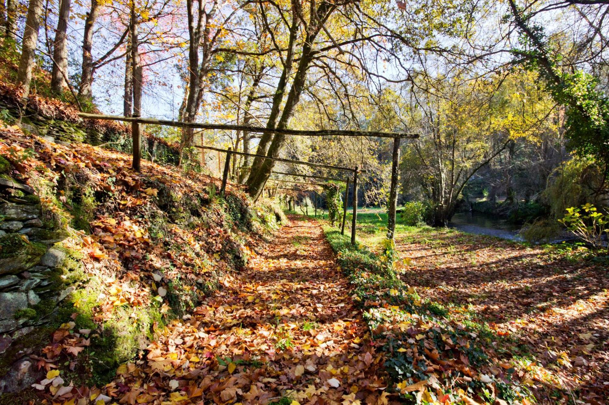 Quinta De Mouraes Casa Dos Rododendros Pension Lever Buitenkant foto